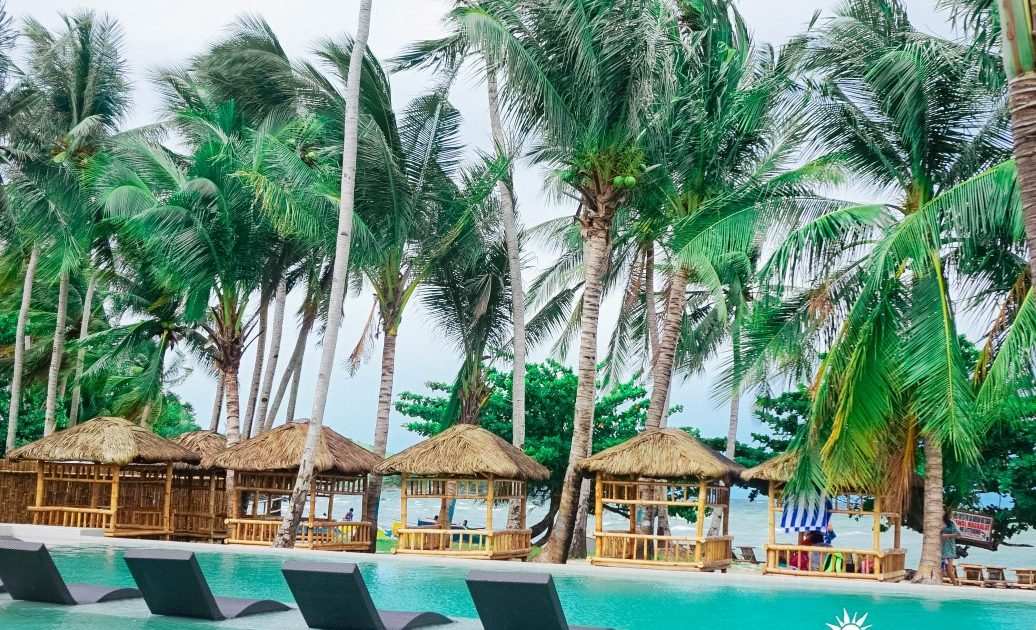 Ashburn Official Tourism & Travel Website